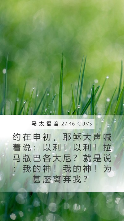 马 太 福 音 27:46 CUVS Bible Verse Image