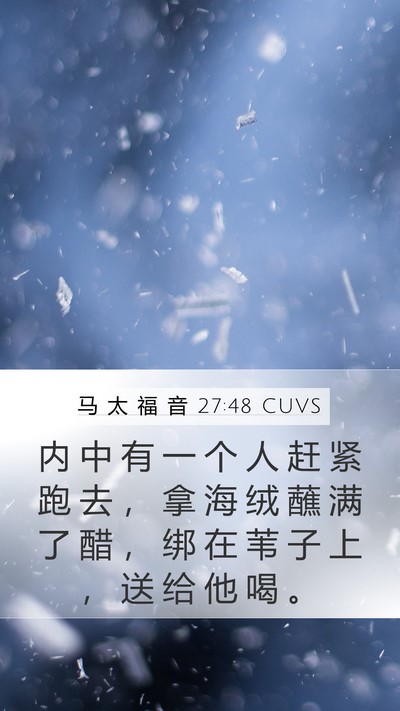 马 太 福 音 27:48 CUVS Bible Verse Image