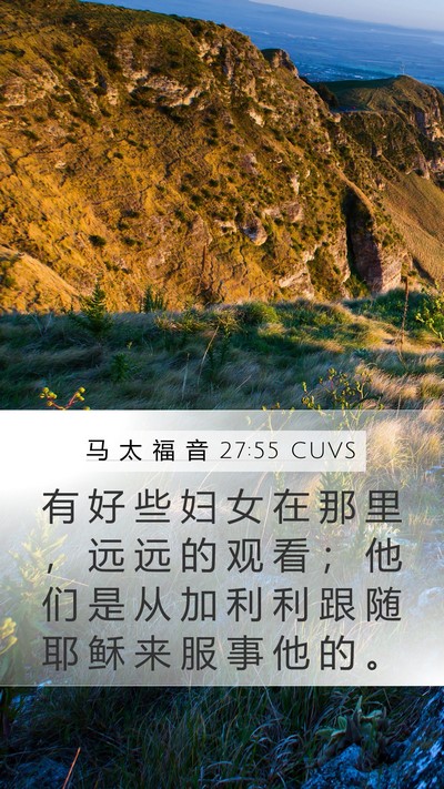 马 太 福 音 27:55 CUVS Bible Verse Image