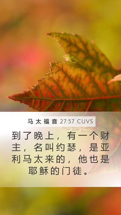 马 太 福 音 27:57 CUVS Bible Verse Image