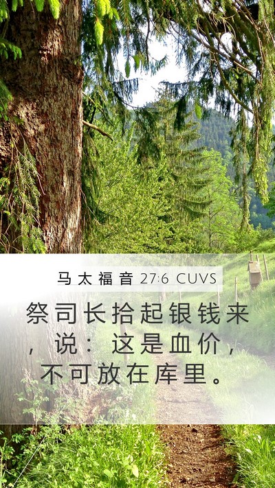 马 太 福 音 27:6 CUVS Bible Verse Image
