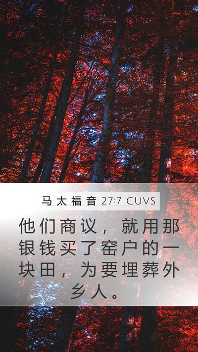 马 太 福 音 27:7 CUVS Mobile Phone Wallpaper - 他 们 商 议 ， 就 用 那 银 钱 买 了 - Mobile Bible Verse Wallpaper