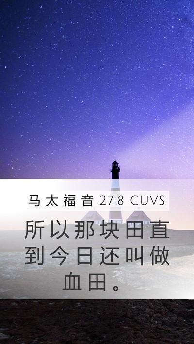 马 太 福 音 27:8 CUVS Mobile Phone Wallpaper - 所 以 那 块 田 直 到 今 日 还 叫 做 - Mobile Bible Verse Wallpaper