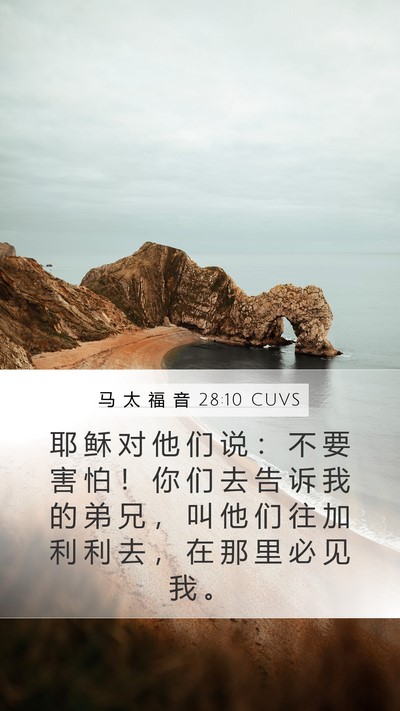 马 太 福 音 28:10 CUVS Bible Verse Image
