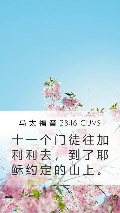 马 太 福 音 28:16 CUVS Bible Verse Image