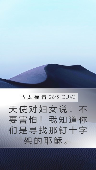 马 太 福 音 28:5 CUVS Bible Verse Image