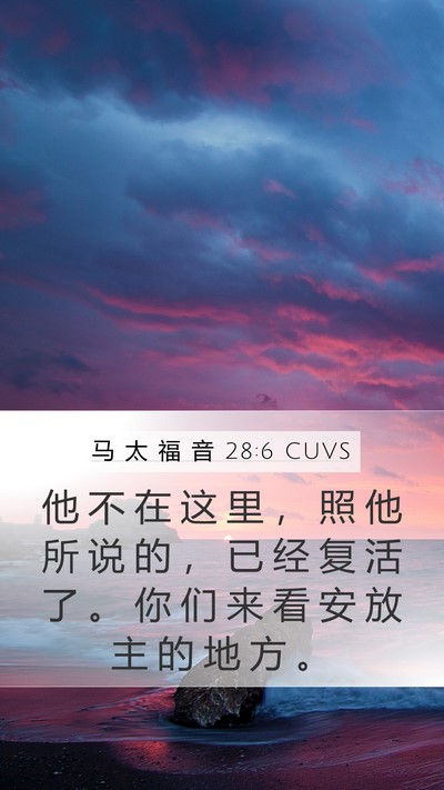 马 太 福 音 28:6 CUVS Bible Verse Image