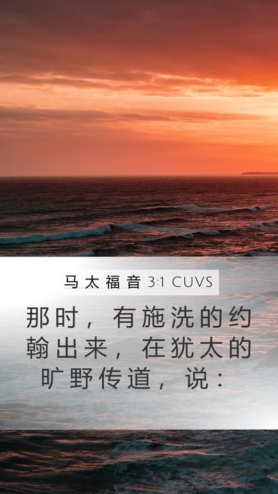 马 太 福 音 3:1 CUVS Mobile Phone Wallpaper - 那 时 ， 有 施 洗 的 约 翰 出 来 ， - Mobile Bible Verse Wallpaper