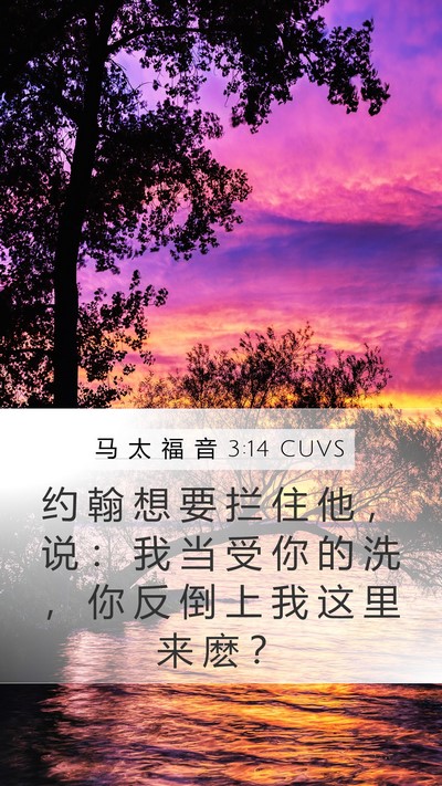 马 太 福 音 3:14 CUVS Bible Verse Image