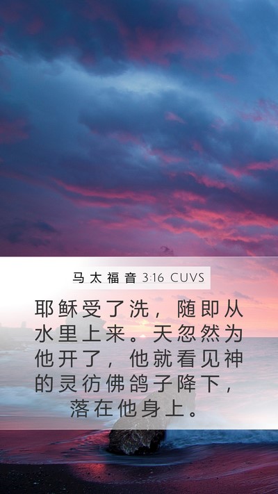 马 太 福 音 3:16 CUVS Bible Verse Image