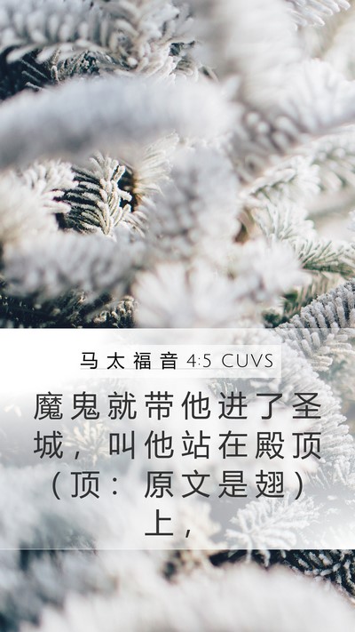 马 太 福 音 4:5 CUVS Bible Verse Image