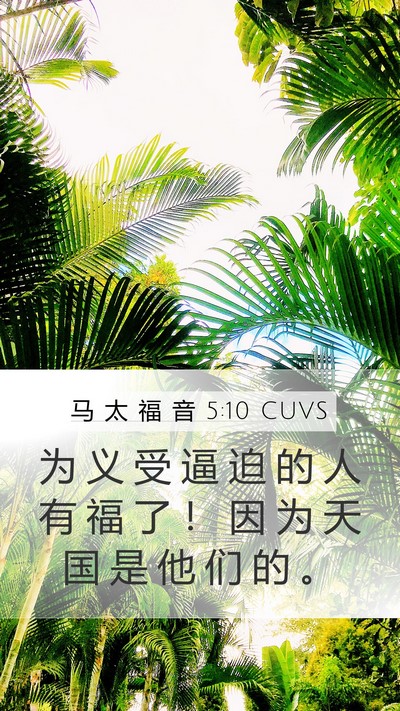 马 太 福 音 5:10 CUVS Bible Verse Image