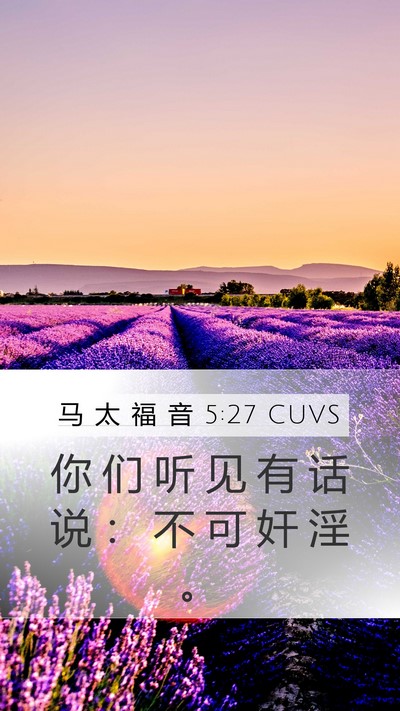 马 太 福 音 5:27 CUVS Bible Verse Image