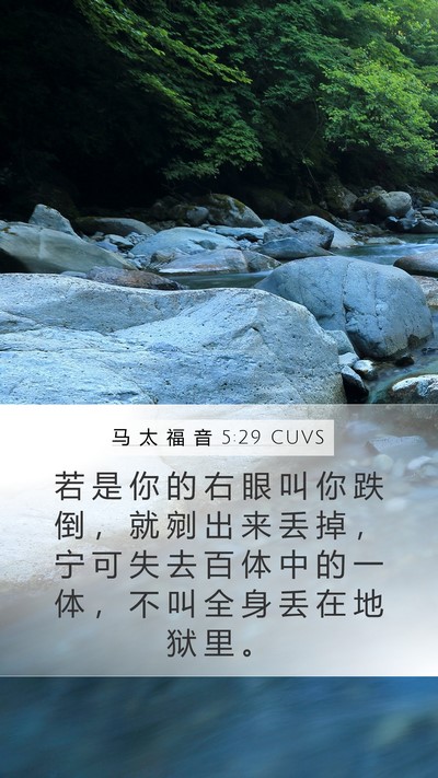 马 太 福 音 5:29 CUVS Mobile Phone Wallpaper - 若 是 你 的 右 眼 叫 你 跌 倒 ， 就 - Mobile Bible Verse Wallpaper