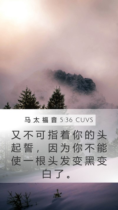 马 太 福 音 5:36 CUVS Mobile Phone Wallpaper - 又 不 可 指 着 你 的 头 起 誓 ， 因 - Mobile Bible Verse Wallpaper