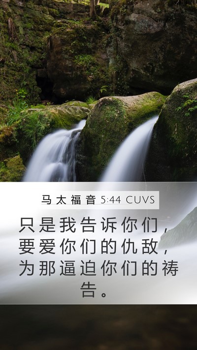 马 太 福 音 5:44 CUVS Bible Verse Image
