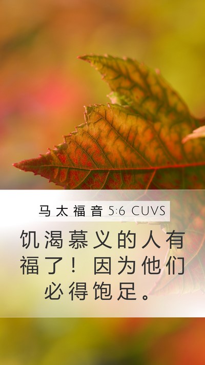 马 太 福 音 5:6 CUVS Bible Verse Image