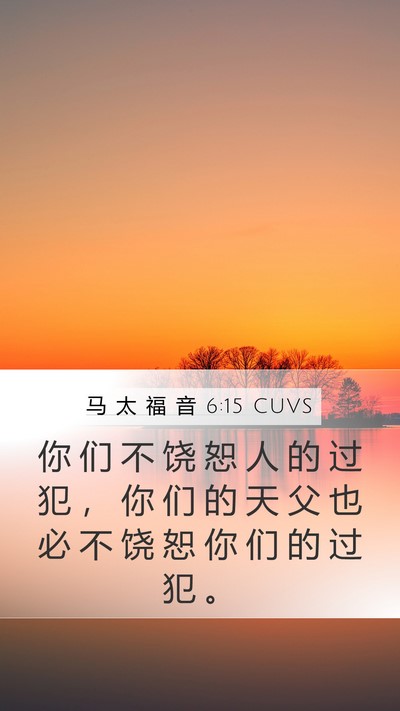 马 太 福 音 6:15 CUVS Bible Verse Image