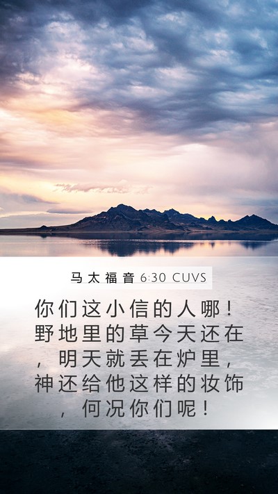 马 太 福 音 6:30 CUVS Bible Verse Image