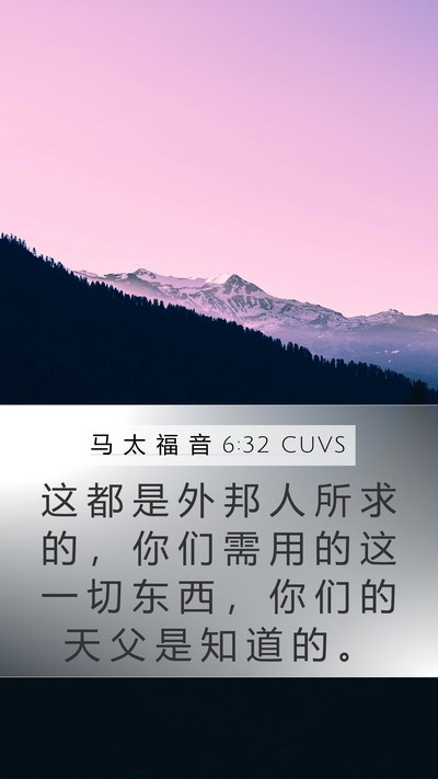 马 太 福 音 6:32 CUVS Bible Verse Image