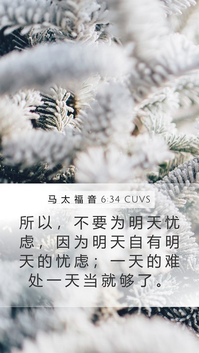 马 太 福 音 6:34 CUVS Bible Verse Image