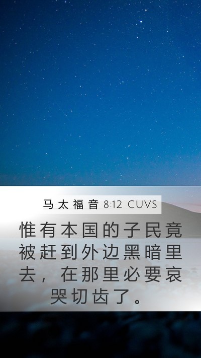 马 太 福 音 8:12 CUVS Bible Verse Image