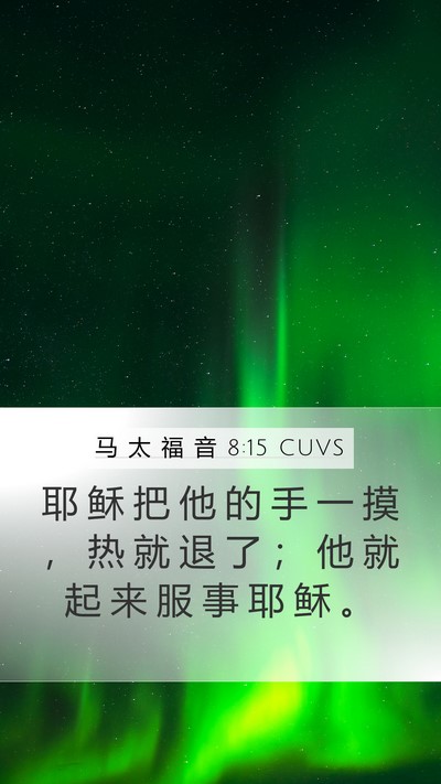 马 太 福 音 8:15 CUVS Bible Verse Image