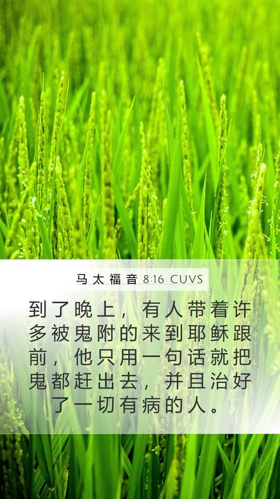 马 太 福 音 8:16 CUVS Bible Verse Image