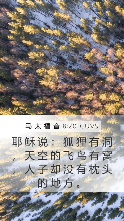 马 太 福 音 8:20 CUVS Bible Verse Image