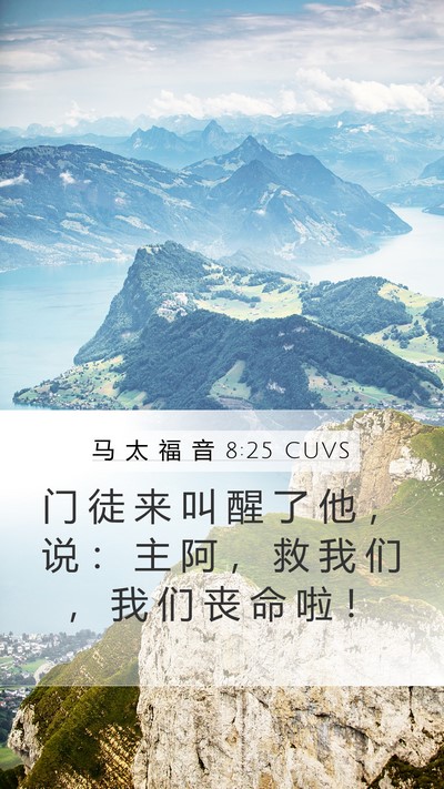 马 太 福 音 8:25 CUVS Mobile Phone Wallpaper - 门 徒 来 叫 醒 了 他 ， 说 ： 主 阿 - Mobile Bible Verse Wallpaper
