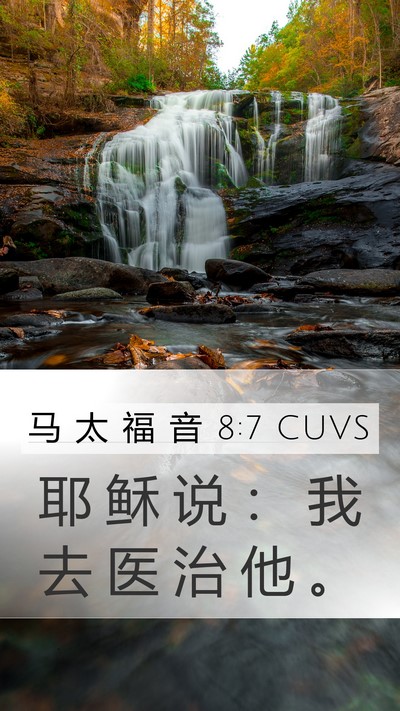 马 太 福 音 8:7 CUVS Mobile Phone Wallpaper - 耶 稣 说 ： 我 去 医 治 他 - Mobile Bible Verse Wallpaper