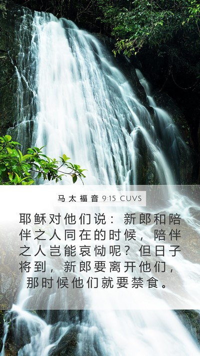 马 太 福 音 9:15 CUVS Bible Verse Image