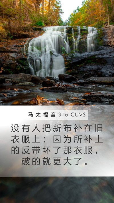 马 太 福 音 9:16 CUVS Bible Verse Image