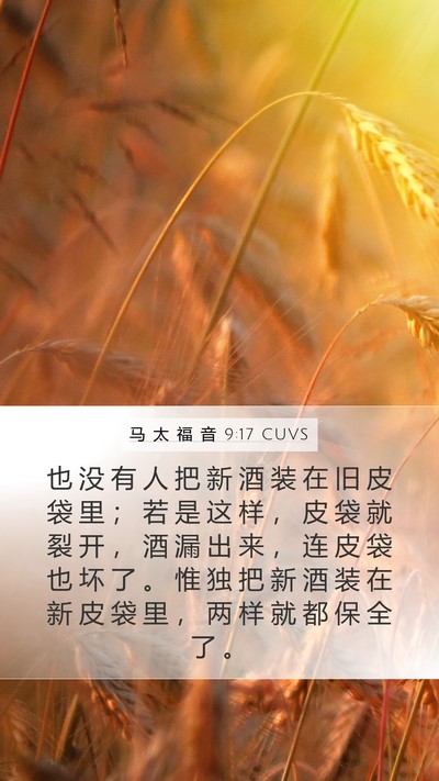 马 太 福 音 9:17 CUVS Mobile Phone Wallpaper - 也 没 有 人 把 新 酒 装 在 旧 皮 袋 - Mobile Bible Verse Wallpaper