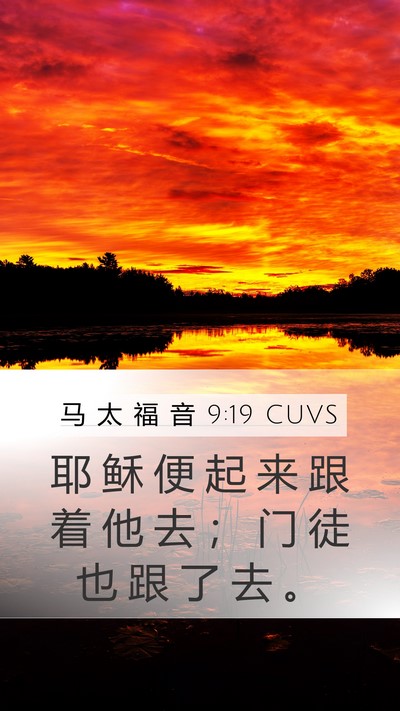 马 太 福 音 9:19 CUVS Mobile Phone Wallpaper - 耶 稣 便 起 来 跟 着 他 去 ； 门 徒 - Mobile Bible Verse Wallpaper