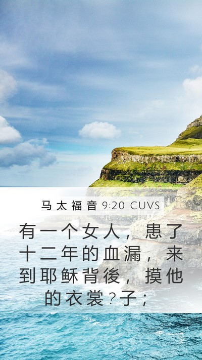 马 太 福 音 9:20 CUVS Bible Verse Image