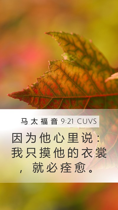 马 太 福 音 9:21 CUVS Bible Verse Image