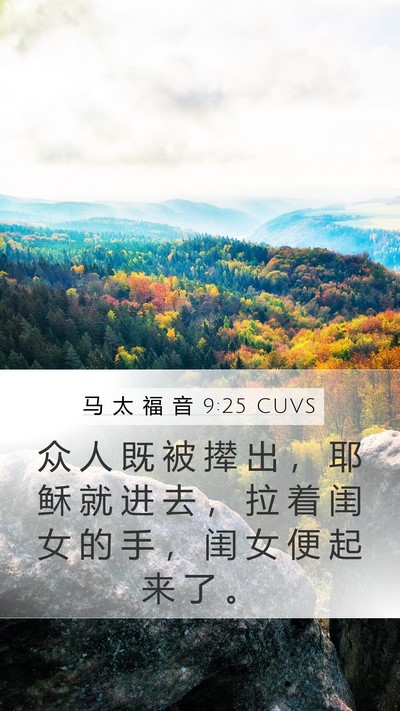 马 太 福 音 9:25 CUVS Bible Verse Image