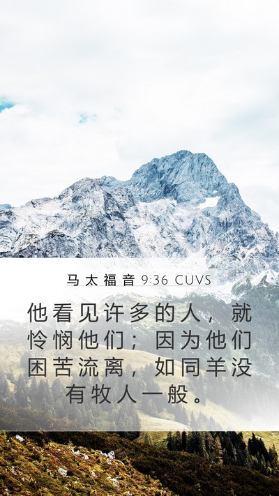 马 太 福 音 9:36 CUVS Bible Verse Image