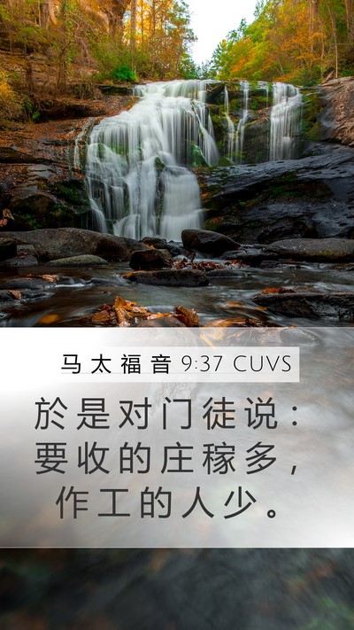 马 太 福 音 9:37 CUVS Bible Verse Image